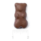Chocolate-Covered Jumbo Gummy Bears – 5 lb Box