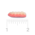 Gummy Teeth Candy: 6.6LB Bag