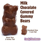 Chocolate-Covered Jumbo Gummy Bears – 5 lb Box