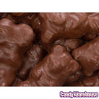 Chocolate-Covered Jumbo Gummy Bears – 5 lb Box