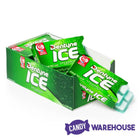 Dentyne Ice Sugar Free Gum Packets - Spearmint: 9-Piece Box