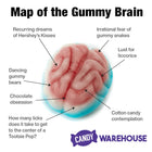 Jelly Filled Gummy Brains: 1KG Bag